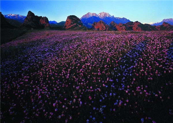 你想要來的新疆2022年是這樣的