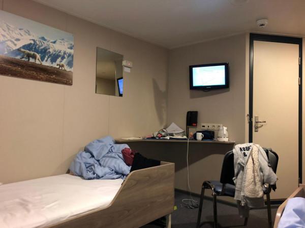 我們去南極結婚了 我們去南極結婚了