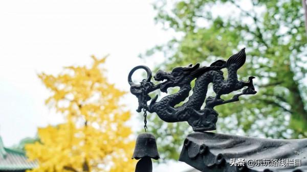 山明水淨夜來霜，數樹深紅出淺黃，臨海終於到了最美的時節