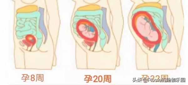 產後五臟六腑位置都不對？產後修復如何做？超模私教帶你這樣練