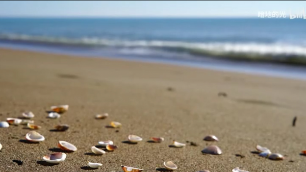 有人長六根手指，有人長兩顆腦袋，但你聽過人的頭上可以長貝殼嗎