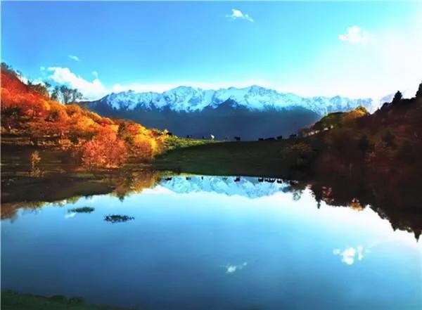 秋天，一定要去一次甘南！