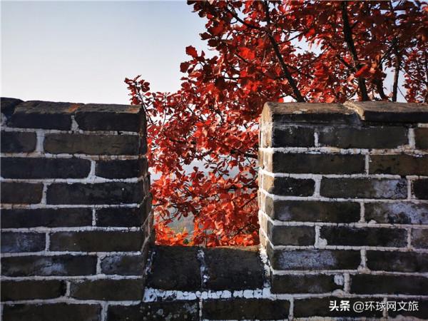 北京慕田峪長城秋色如畫 色彩斑斕