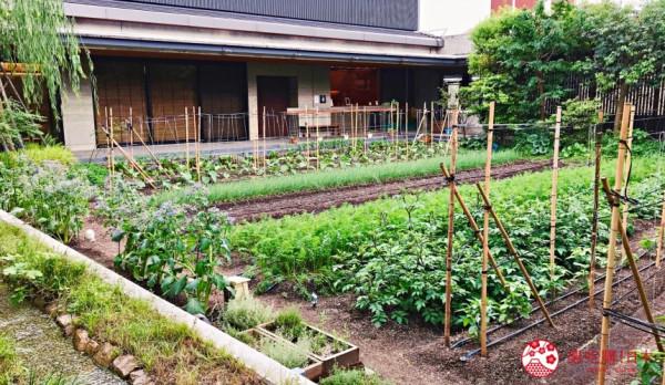 10家關西超市的價格評比：從最高貴到最便宜的價格金字塔大公開