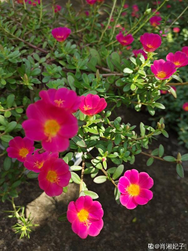 秋天又乏又燥，做好5件事，有效緩解“乏”和“燥”