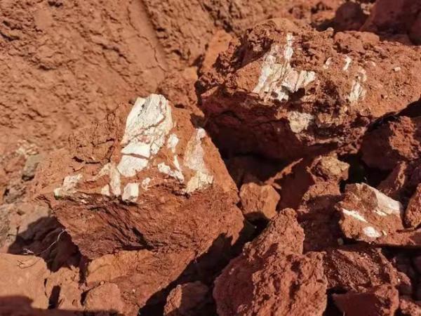 孫氏老窖池酒窖泥是杜康酒生產形成子發展的歷史見證