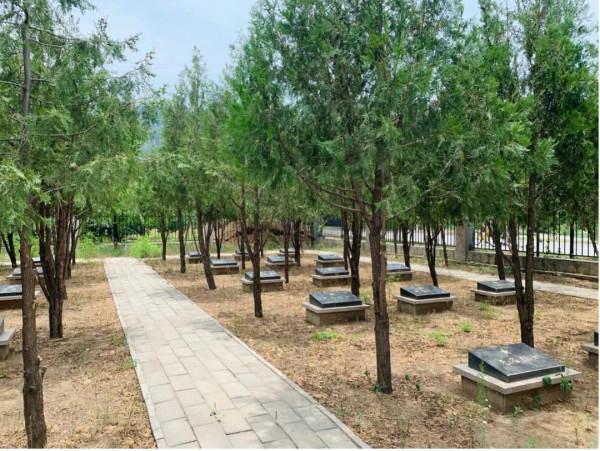 北京昌平深山埋忠骨,40位無名烈士長眠上店73年 北京昌平深山埋忠骨,40位無名烈士長眠上店73年