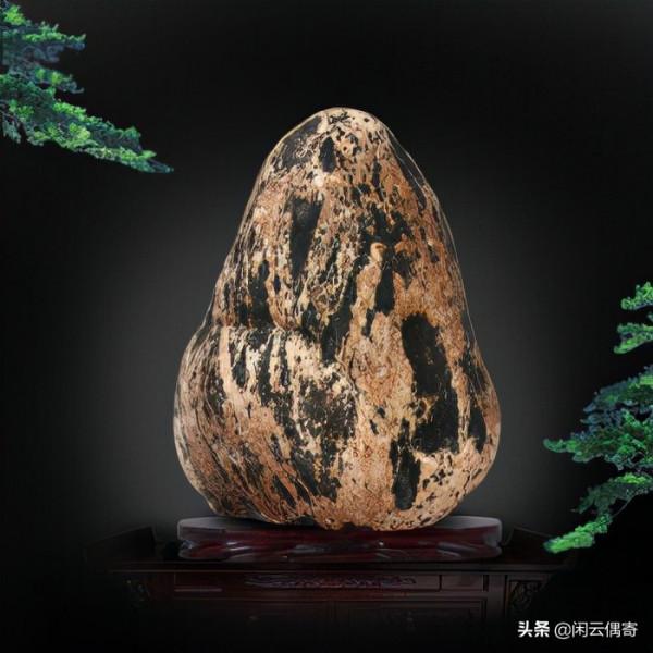 淘石之雅趣 淘石之雅趣