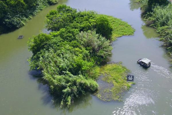 1年有150天住酒店，44次旅行，47次飛行！這江南女子怎麼做到的？