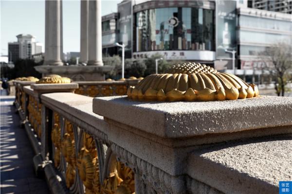 天津有12座橋橫跨海河兩岸,這一座不但有歷史還有顏值 天津有12座橋橫跨海河兩岸,這一座不但有歷史還有顏值