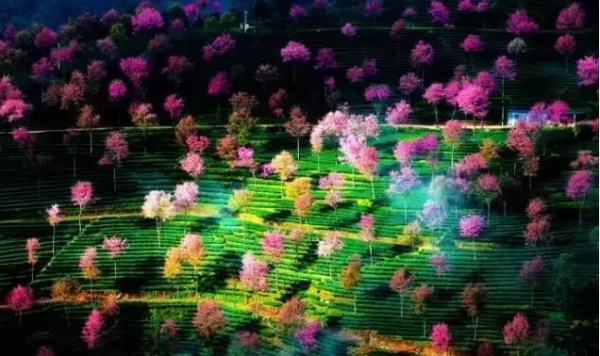 未來2個月,這些地方將美成天堂!再一場旅行,2021才完美 未來2個月,這些地方將美成天堂!再一場旅行,2021才完美