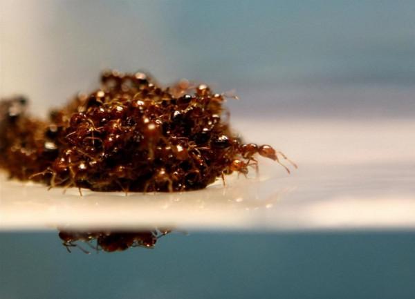 245歲老邁美國與5000歲少年中國的區別在哪裡 245歲老邁美國與5000歲少年中國的區別在哪裡