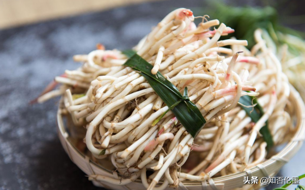 種什麼蔬菜一次種植長期收穫？這幾種“懶人菜”，省心又省力