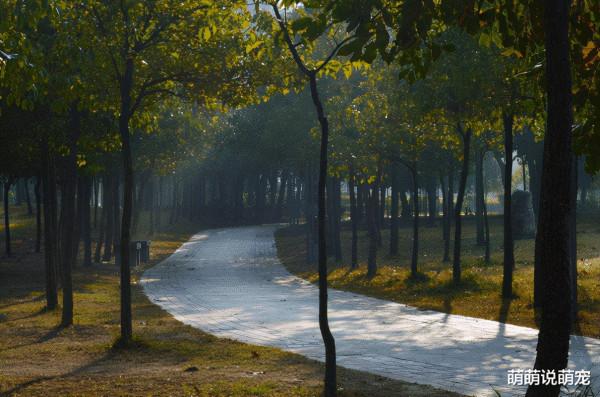 測試:四條道路,哪條讓你不安?秒測出你的心理壓力有多大 測試:四條道路,哪條讓你不安?秒測出你的心理壓力有多大