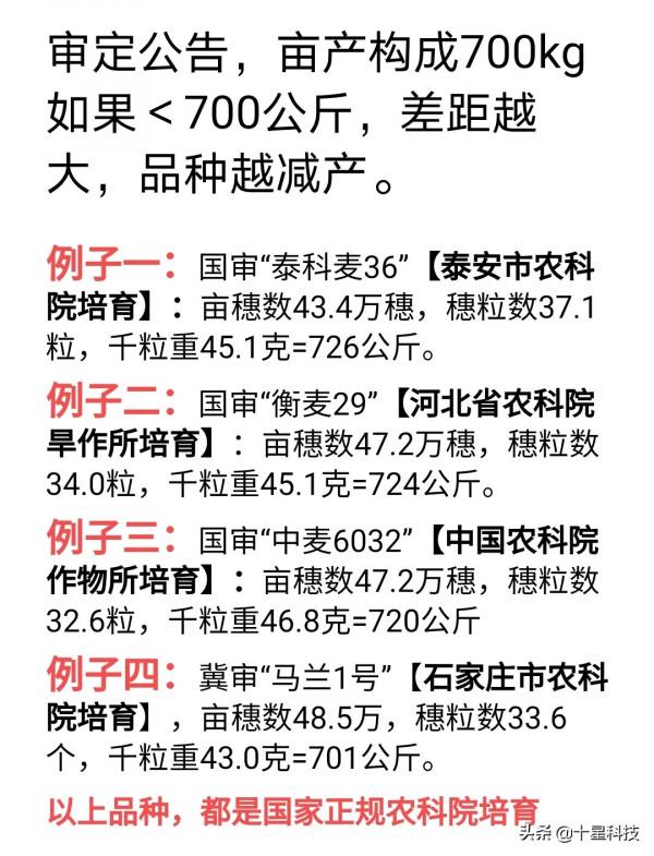 小麥品種:只吹噓高產,卻不說施肥量,都是騙子“耍流氓” 小麥品種:只吹噓高產,卻不說施肥量,都是騙子“耍流氓”