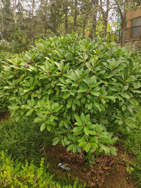 雨過天晴 公園一日遊