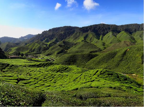 Kacific 將業務遷移到 AWS 以實現亞太地區的農村寬頻網際網路連線
