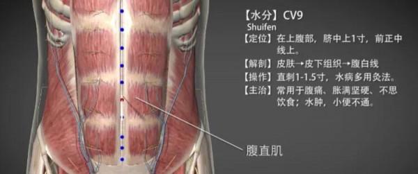 水分穴—散寒利溼消腫之效穴