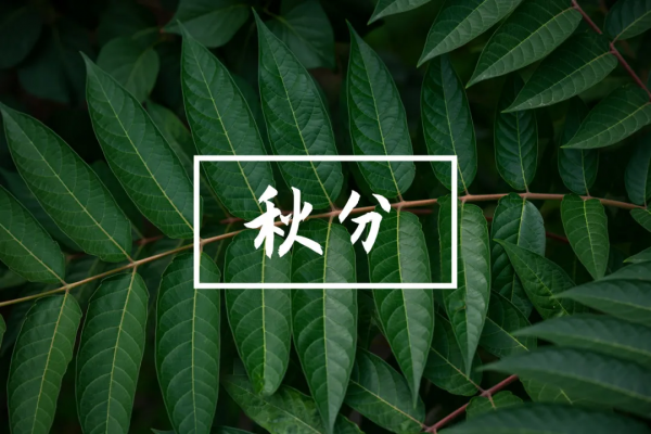 秋分到,心臟最怕的幾件事,快來吃顆定心丸 秋分到,心臟最怕的幾件事,快來吃顆定心丸