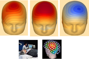 茶葉中的茶氨酸是什麼，它的保健功效：抗血壓、抗腫瘤、緩解抑鬱症、增強記憶力