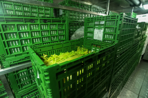 你可能想不到,海軍護航官兵最喜歡的菜品你天天都能吃到 你可能想不到,海軍護航官兵最喜歡的菜品你天天都能吃到