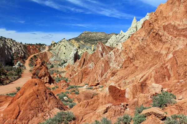 陝西竟然發現了恐龍足跡,是真的麼? 陝西竟然發現了恐龍足跡,是真的麼?