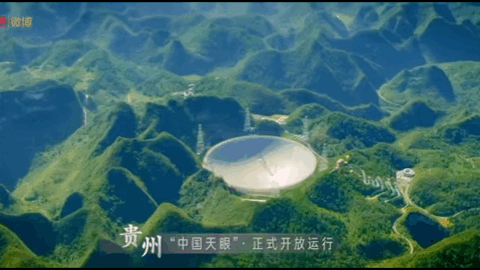 全國賞春花時間表出爐！你的家鄉上榜了嗎？