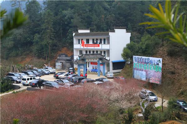 安徽備受歡迎的漁村，正月梅花盛開浪漫滿滿，過年放假不妨去看看