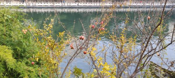 行政區劃有意思的統計之方位