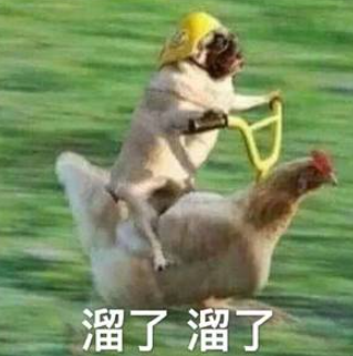 構築討研：瑞爾騎