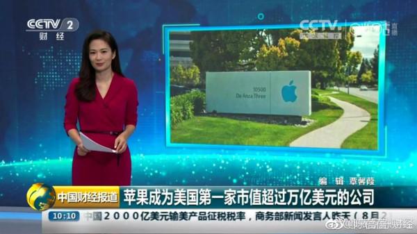 央視主持陳蓓蓓 : 生下雙胞胎，成為心頭寶，婚姻事業兩不誤