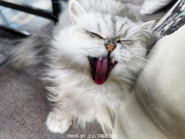 走進莫干山治癒系民宿,在禪意滿滿天真樂元靜心酒店遇見最真自己 走進莫干山治癒系民宿,在禪意滿滿天真樂元靜心酒店遇見最真自己