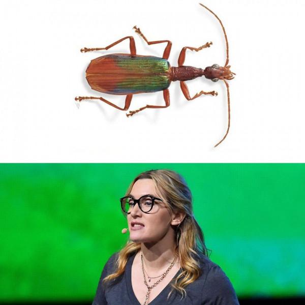 搞笑動物名字!真的有一條叫素貞的蛇,還有一隻叫川普的飛蛾 搞笑動物名字!真的有一條叫素貞的蛇,還有一隻叫川普的飛蛾