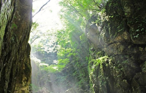 2018年,5名學生溶洞探險,一人意外失蹤,事後疑點重重細思極恐 2018年,5名學生溶洞探險,一人意外失蹤,事後疑點重重細思極恐