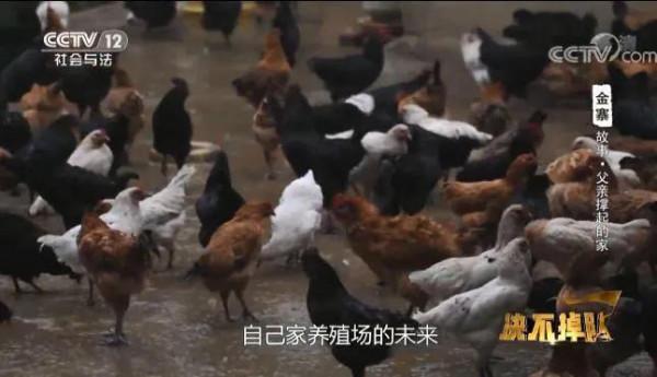 安徽7歲男孩一場大病，母親提出離婚，父親帶2孩獨自撐起一個家