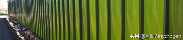 減碳養藻？汙水廠碳中和轉型新出路