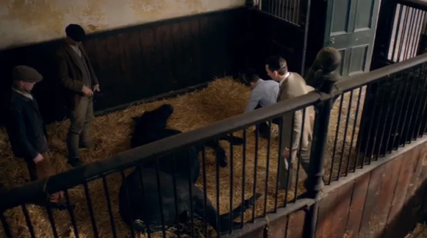 又髒又野,但真招人喜歡 又髒又野,但真招人喜歡