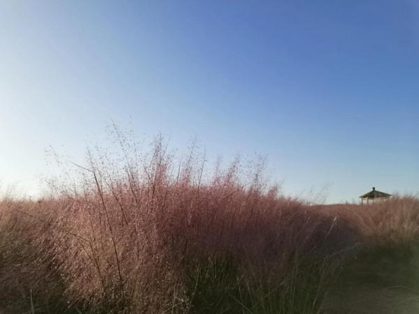 臨平區藝尚小鎮 臨平區藝尚小鎮