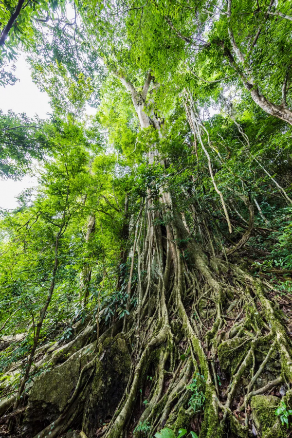 中國西南最偉大的古道，早該火了