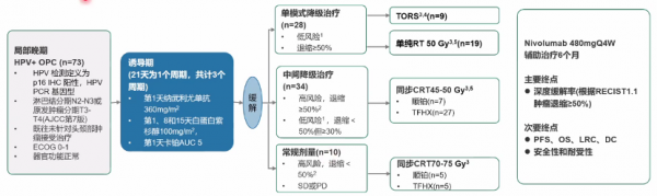 年終大盤點｜楊坤禹教授回顧頭頸腫瘤的臨床研究進展