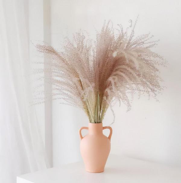 別攔我！我要野性消費！爆好用的高品質好物合集！（2元起）