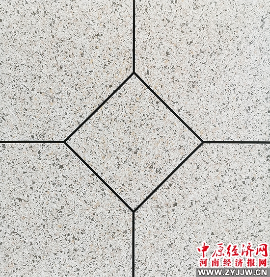 打造“咱河南自己的塗料品牌”——河南諾源塗料有限公司發展紀實