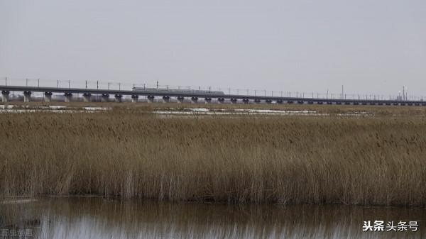 豆嫗站鐵路詭事 豆嫗站鐵路詭事