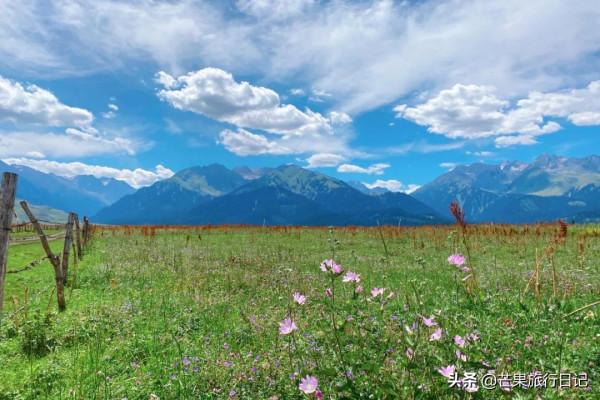 新疆伊犁自由行，廣東妹子30天花費8000元，看看一路吃住明細
