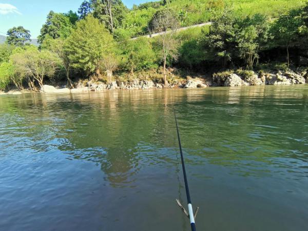 野河休閒釣，手杆繃尖釣法，岸邊撿別人的麥子掛鉤，最後鯽魚連桿