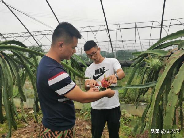 城市年輕人進村,農村年輕人進城,未來,城鄉人口互換將成趨勢 城市年輕人進村,農村年輕人進城,未來,城鄉人口互換將成趨勢
