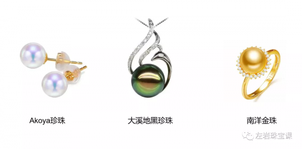 冬日提升氣質必備!南洋金珠到底是什麼來頭? 冬日提升氣質必備!南洋金珠到底是什麼來頭?