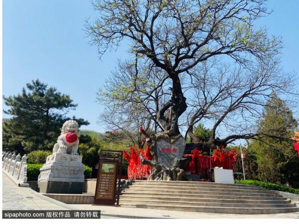 第五批國家級非遺代表性專案:八大處傳說 第五批國家級非遺代表性專案:八大處傳說