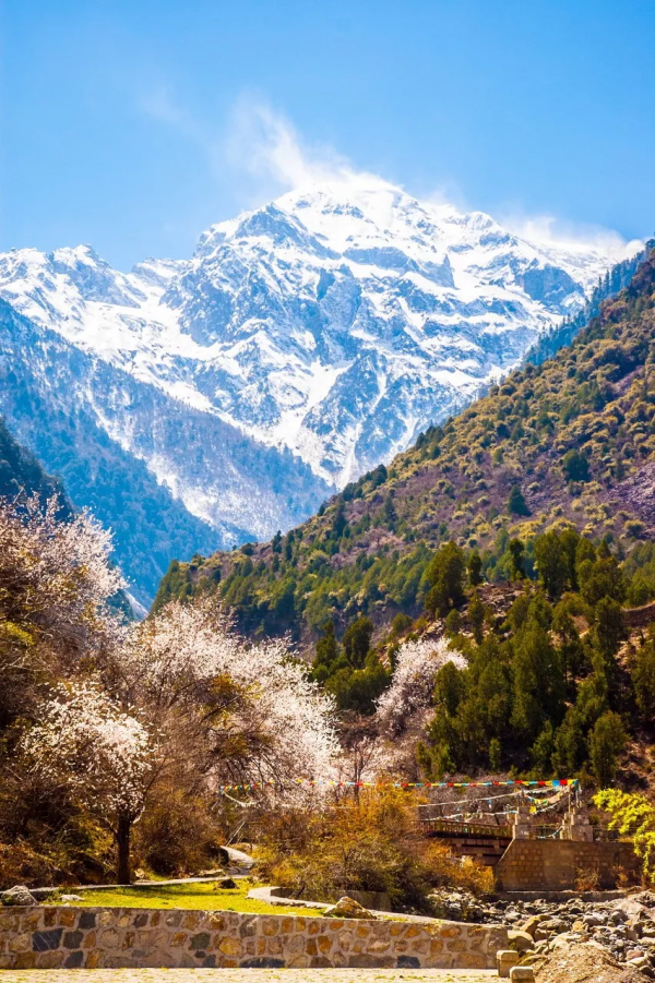 我去旅行，不是因為我有錢