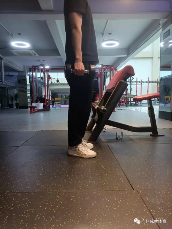箭步蹲為什麼叫箭步蹲？